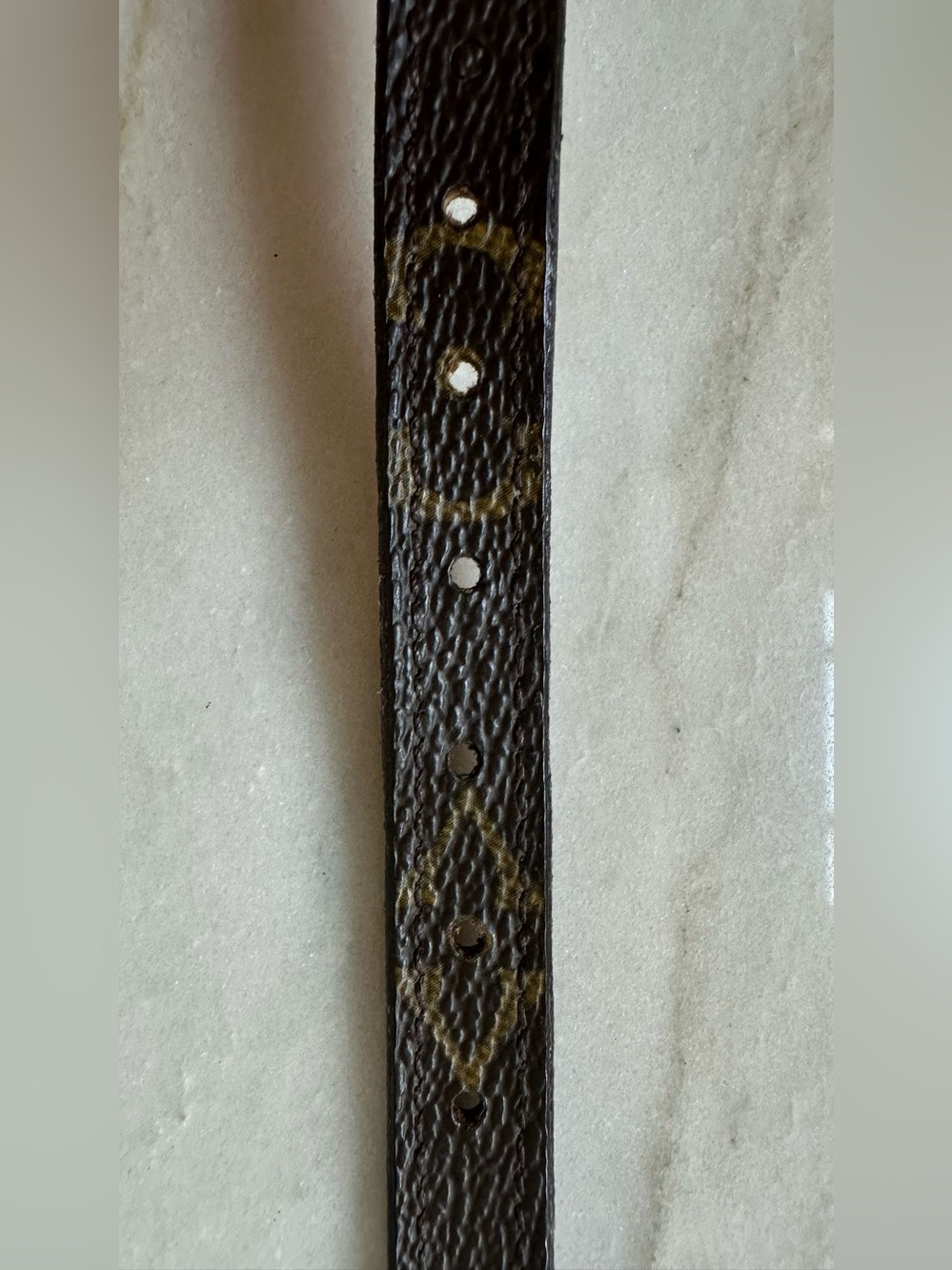 Louis Vuitton Laisse Baxter MM Pet Leash & Collar - M58056 & TH1008 - Picture 13 of 14